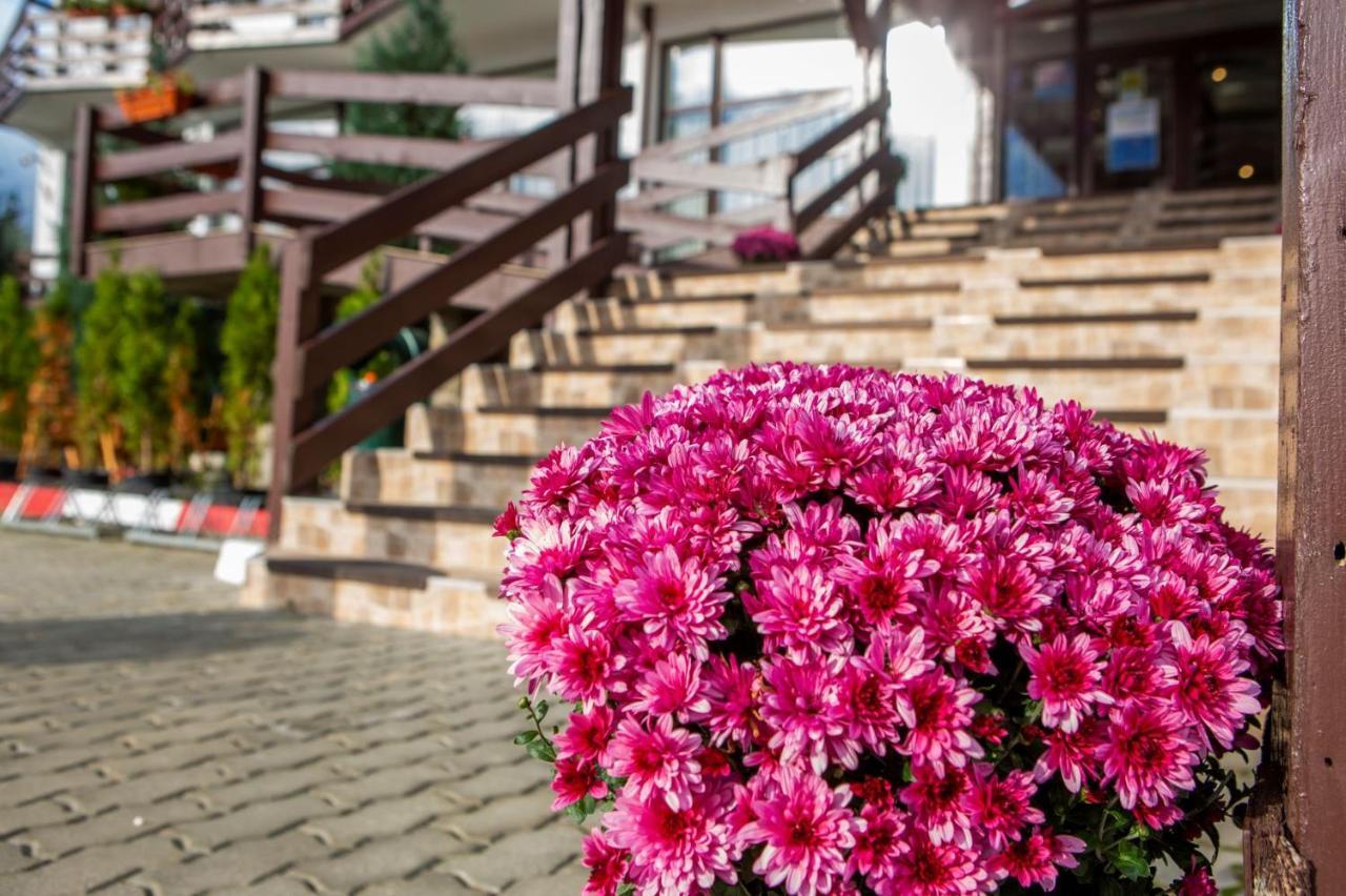 Hotel La Dolce Vita Зэрнешти Экстерьер фото